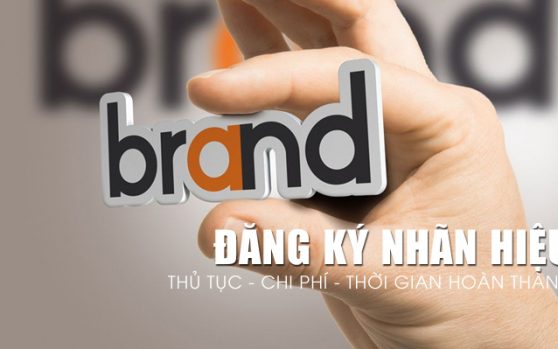 Chủ sở hữu nhãn hiệu có quyền gì?