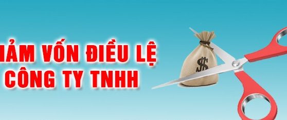 Các trường hợp giảm vốn công ty TNHH hai thành viên