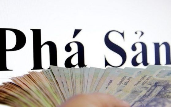 Luật phá sản được áp dụng cho bao nhiêu loại hình doanh nghiệp?