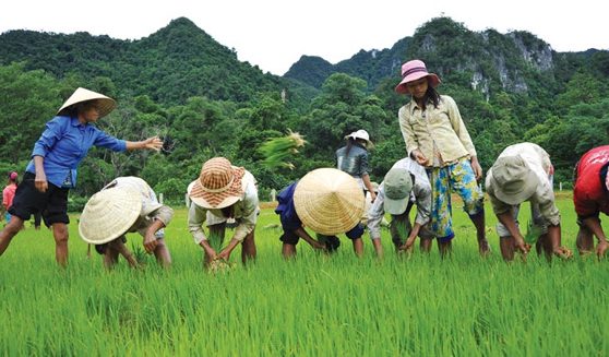 Hình thức sở hữu toàn dân theo BLDS 2015