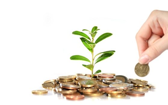 Đăng ký bảo hộ đối với giống cây trồng