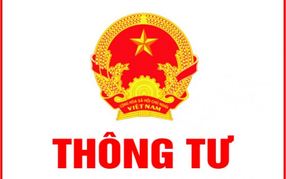 Thủ tục cấp lại giấy phép lái xe theo quy định pháp luật hiện hành