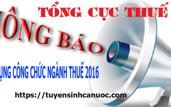 Khởi tố kẻ lừa ‘chạy’ vào ngành Thuế tỉnh Tuyên Quang với giá 420 triệu đồng