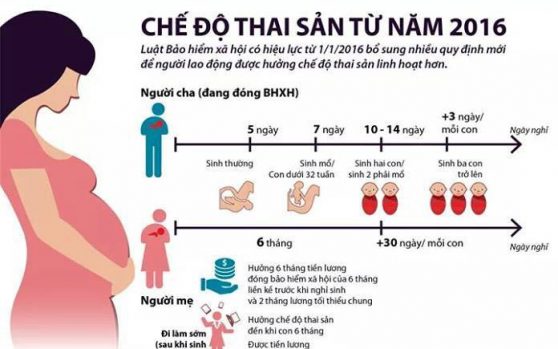 Hướng dẫn chuẩn bị hồ sơ hưởng chế độ thai sản