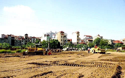 Căn cứ để xác định loại đất