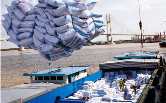 Điều kiện kinh doanh xuất khẩu gạo