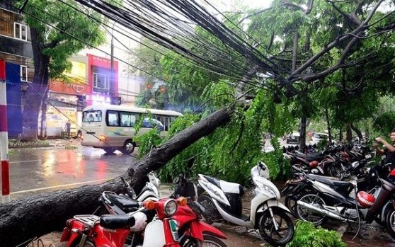 Các trường hợp bất khả kháng trong hợp đồng