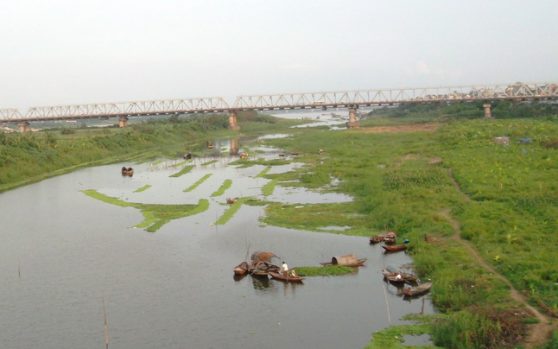 Quy định về đất bãi bồi ven sông, ven biển