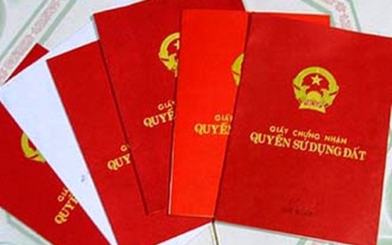 TRƯỜNG HỢP KHÔNG THU HỒI GIẤY CHỨNG NHẬN ĐÃ CẤP SAI?