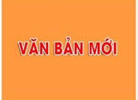 Thông tư 55/2019/TT-BTC thông tư hướng dẫn bàn giao ,tiếp nhận, xử lý các khoản nợ và tài sản loại trừ khi chuyển đổi sở hữu doanh nghiệp nhà nước