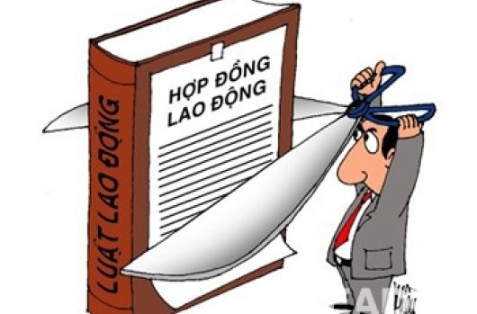 CHẤM DỨT HỢP ĐỒNG TRÁI PHÁP LUẬT