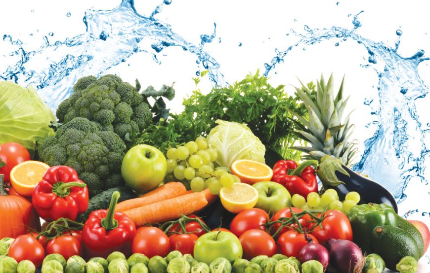 THỦ TỤC ĐĂNG KÝ GIẤY CHỨNG NHẬN AN TOÀN THỰC PHẨM