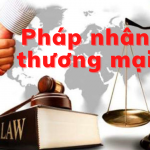 MAI PHONG LAWFIRM -Thế nào là pháp nhân thương mại? Hình phạt đối với pháp nhân thương mại khi phạm tội?..