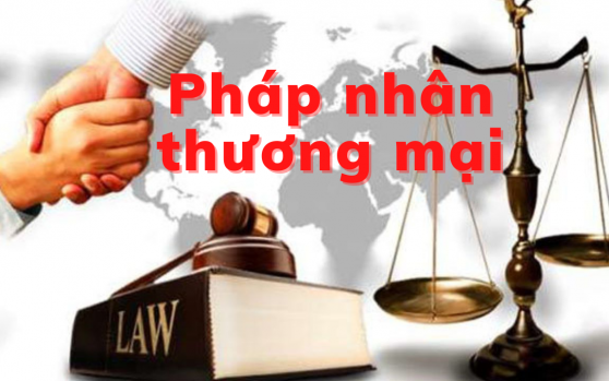 MAI PHONG LAWFIRM -Thế nào là pháp nhân thương mại? Hình phạt đối với pháp nhân thương mại khi phạm tội?..