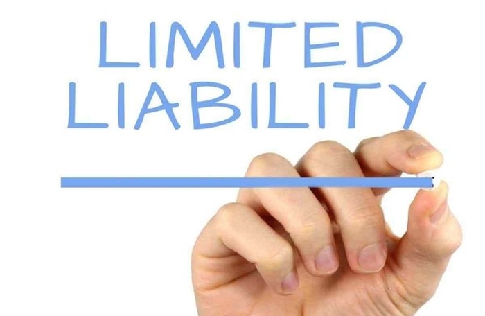 MAI PHONG LAWFIRM – So sánh mô hình công ty TNHH một thành viên và công ty TNHH hai thành viên trở lên