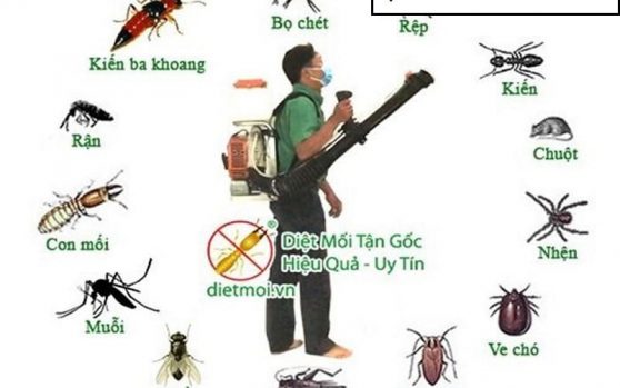 MAI PHONG LAWFIRM  – Thủ tục đăng ký lưu hành chế phẩm diệt côn trùng, diệt khuẩn