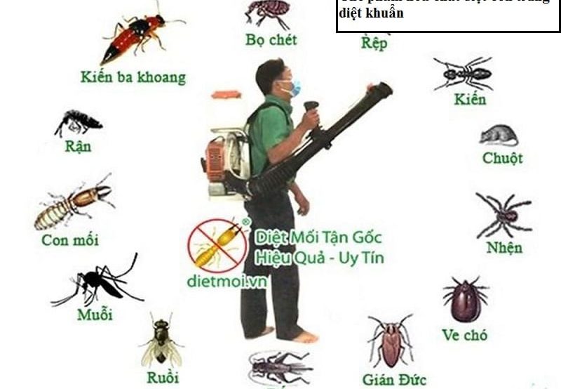 MAI PHONG LAWFIRM  – Thủ tục đăng ký lưu hành chế phẩm diệt côn trùng, diệt khuẩn