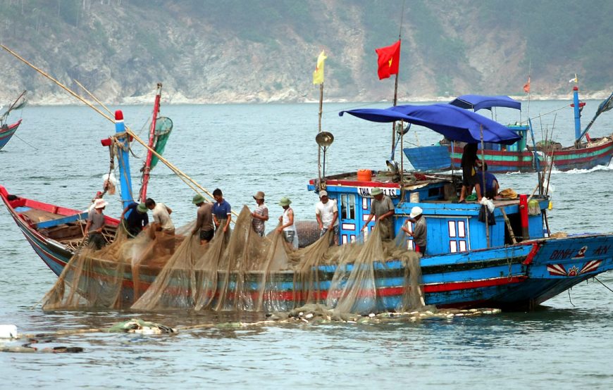 MAI PHONG LAWFIRM – Hành vi khai thác thủy sản bất hợp pháp