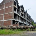 Cảnh báo 7 hành vi về đất đai có thể bị xem xét trách nhiệm hình sự