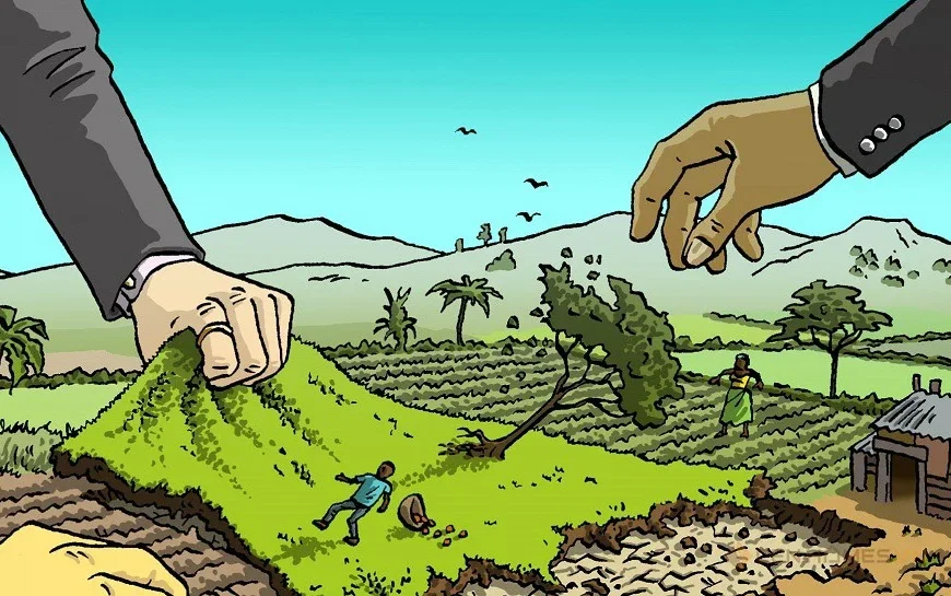 CÓ ĐƯỢC XÂY DỰNG NHÀ Ở TẠM TRÊN ĐẤT NÔNG NGHIỆP KHÔNG?