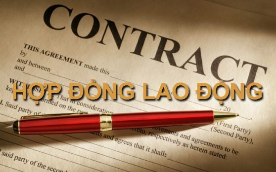 Không có hợp đồng lao động có thể khởi kiện được không?