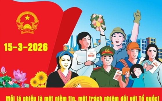 Bầu cử đại biểu HĐND: Trường hợp nào phải bầu cử lại, bầu cử thêm?