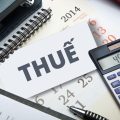 Trách nhiệm của người nộp thuế trong việc kê khai thuế